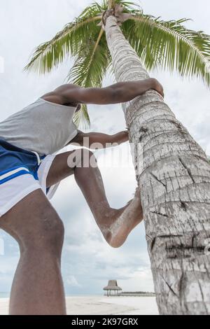 De dessous de l'homme ethnique anonyme en chemise et short grimpant arbre tropical sur la plage par jour ensoleillé nuageux Banque D'Images