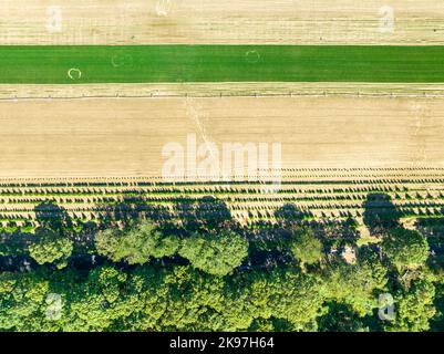 Vue aérienne d'un champ de ferme à Water Mill, NY Banque D'Images