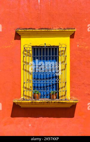 Détail architectural d'une maison coloniale, ville d'Oaxaca, Mexique Banque D'Images