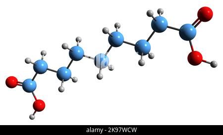3D image de la formule squelettique de l'acide azélaïque - structure chimique moléculaire de l'acide nonanedioïque isolé sur fond blanc Banque D'Images
