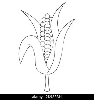 Maïs. Une oreille de maïs est enveloppée de feuilles. Illustration vectorielle. Sur un arrière-plan blanc isolé. Style Doodle. Esquisse. Grains juteux. Illustration de Vecteur