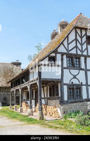 Ancienne maison alsacienne traditionnelle avec nid de cigognes dans l'Écomusée d'Alsace dans la ville de Mulhouse, Alsace, France Banque D'Images