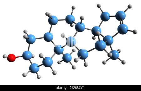 3D image de la formule squelettique d'Androstenol - structure chimique moléculaire de la phéromone stéroïdienne et du neurostéroïde isolés sur fond blanc Banque D'Images