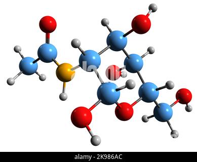 3D image de la formule squelettique N-acétylglucosamine - structure chimique moléculaire du dérivé du glucose monosaccharide isolé sur le backgro blanc Banque D'Images