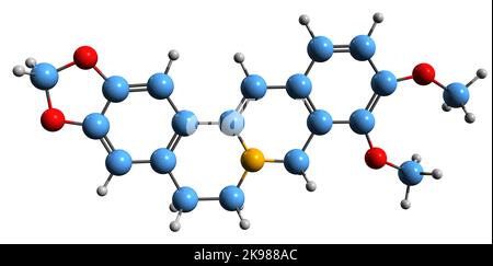 3D image de la formule osseuse de la berbérine - structure chimique moléculaire de l'alcaloïde benzylisoquinoline isolé sur fond blanc Banque D'Images