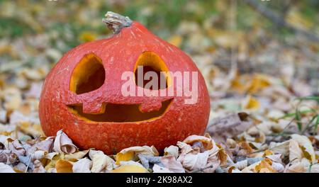 Halloween Jack O' Lantern citrouille sur fond coloré d'automne Banque D'Images