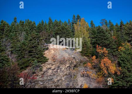 Une falaise rocheuse avec de grands arbres de couleur verte au sommet de la montagne contre un ciel bleu. La face rocheuse est faite de schiste. Les arbres sont de couleur orange. Banque D'Images