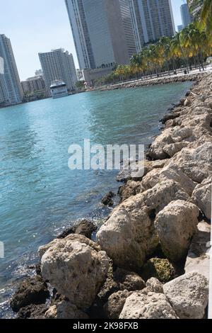 Rochers dans l'eau au parc Bayfront à Miami Banque D'Images
