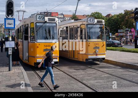Budapest, Hongrie - 1st septembre 2022 : deux tramways jaunes dans le centre de Budapest Banque D'Images