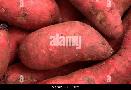 PATATES DOUCES VIOLETTES CRUES RÉCOLTÉES. AUSTRALIE. Banque D'Images