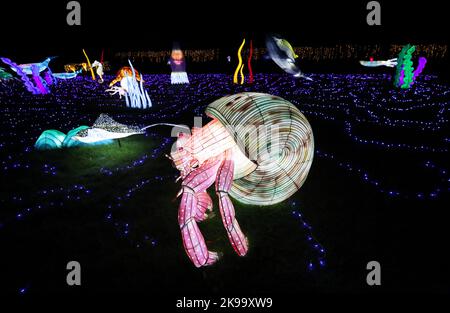 Paris, France. 26th octobre 2022. Des sculptures illuminées sont photographiées lors d'une visite médiatique d'un festival de lumière au zoo de Thoiry près de Paris, France, le 26 octobre 2022. Le festival va commencer ici dimanche, exposant environ 2 000 sculptures illuminées. Credit: Gao Jing/Xinhua/Alamy Live News Banque D'Images