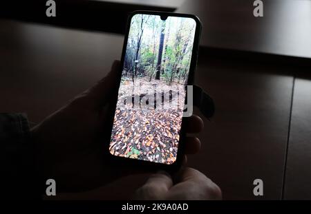 Butscha, Ukraine. 21st octobre 2022. Dmytro Hapchenko, chef de l'administration de Butscha, montre une photo du site où un corps a été trouvé enterré dans la forêt. Peu d'endroits en Ukraine sont devenus autant un symbole de la brutalité de la guerre d'agression de la Russie que Butscha. Plus d'un demi-an après le retrait des forces d'occupation, les résidents reprennent leur vie quotidienne. Pour beaucoup, cependant, la guerre est loin d'être terminée. Credit: Hannah Wagner/dpa/Alay Live News Banque D'Images