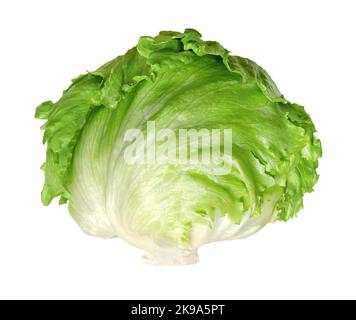 Laitue iceberg, ou cropphead, isolée, vue de face, sur fond blanc. Tête de salade fraîche, vert clair, parfois aussi appelée laitue de chou. Banque D'Images