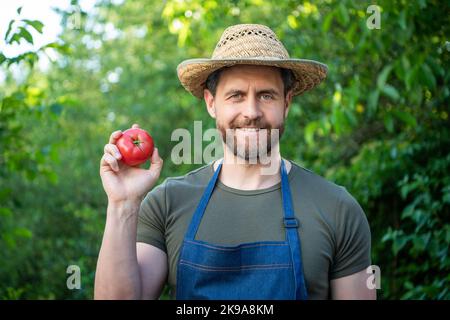 happy man greengrocer dans un chapeau de paille avec légumes de tomate Banque D'Images