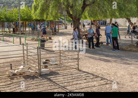 Felanitx, Espagne; octobre 23 2022 : foire annuelle de paprika, tenue dans la ville de Majorcan de Felanitx, Espagne. Shepherd dirige son chien tout en exécutant une oie Banque D'Images