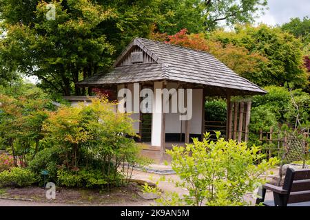 Photo prise au jardin botanique national du pays de Galles en juillet 2022 montrant la maison japonaise. Numéro 4024 Banque D'Images