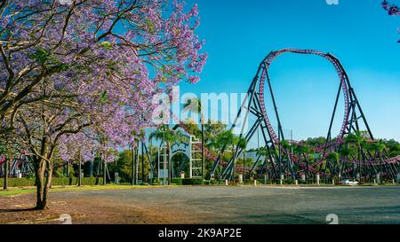 Gold Coast, Queensland, Australie - arbre jacaranda en pleine fleur devant l'entrée du parc à thème Movie World Banque D'Images