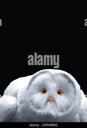 Gros plan d'un hibou blanc avec des yeux et un bec jaunes, fond noir, minimalisme, espace de copie, vertical Banque D'Images