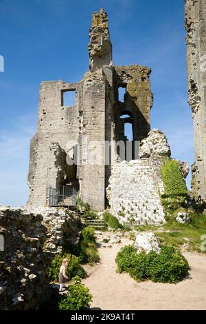 Château de Corfe où le donjon et la tour sont des ruines et des vestiges, lors d'une belle journée d'été avec soleil et ciel bleu / ciel clair ensoleillé. Dorset. ROYAUME-UNI. (64) Banque D'Images