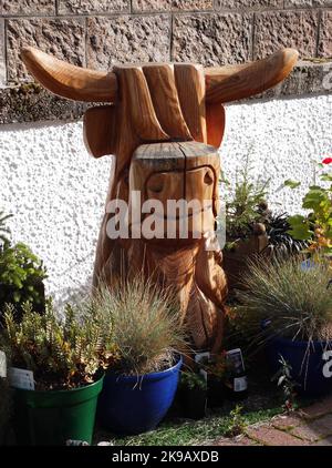 Grande vache en bois sculpté à longues cornes dans un jardin. Écosse Royaume-Uni Banque D'Images