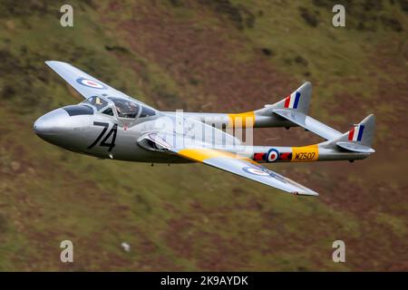 De Havilland Vampire Banque D'Images