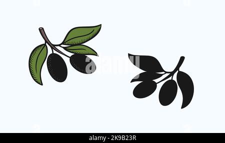 Icône de fruit d'olive, contour avec illustration vectorielle de style de remplissage de couleur, silhouette du fruit noir sur la branche Illustration de Vecteur