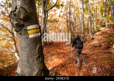 Panneau jaune sur l'arbre pour la randonnée : sentier de montagne. Randonneur à l'arrière-plan Banque D'Images