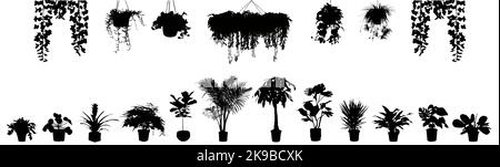 Les silhouettes de plantes en pot définissent l'image vectorielle isolée sur le blanc Illustration de Vecteur