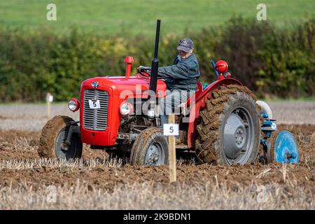 Tracteur d'époque dans un match de labour à Medstead, Hampshire, Royaume-Uni Banque D'Images