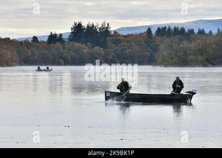 Une matinée froide et brumeuse en automne voit les pêcheurs apporter un poisson sur le filet au lac de Mengeith, Stirlingshire, Écosse, Royaume-Uni Banque D'Images