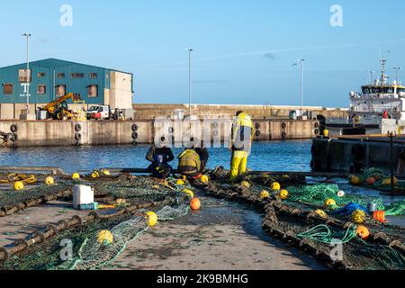 26 octobre 2022. Fraserburgh, Aberdeenshire, Écosse. Il s'agit des personnes qui travaillent sur l'équipement de pêche au filet sur la jetée du port. Banque D'Images