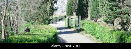 Belles routes dans le parc avec des buissons et des arbres Banque D'Images