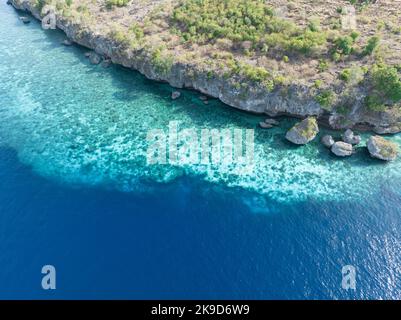 Un vaste récif de fringles se développe le long d'une île éloignée près d'Alor, en Indonésie. Cette région est connue pour sa grande biodiversité marine. Banque D'Images