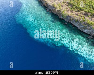 Un vaste récif de fringles se développe le long d'une île éloignée près d'Alor, en Indonésie. Cette région est connue pour sa grande biodiversité marine. Banque D'Images