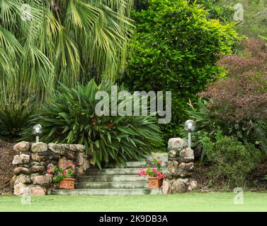 Jardin avec des marches en pierre menant de la pelouse verdoyante à un jardin encombré de palmiers et d'autres arbres ombragés avec des arbustes en premier plan, en Australie Banque D'Images