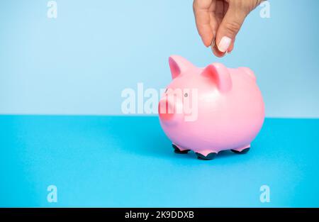 La personne met de l'argent dans une banque de porc rose sur un fond bleu.les mains des femmes mettent des pièces dans une boîte d'argent.Banque de Piggy avec des piles de pièces.le concept de Banque D'Images