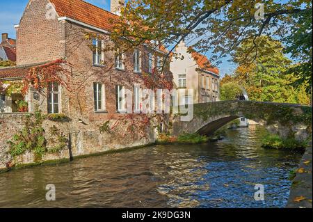 Bruges (Brugge) en Flandre, Belgique et des maisons bordent le canal de Groenerei au coeur de la ville. Banque D'Images