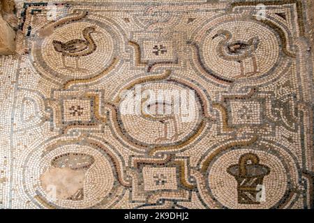 Sol en mosaïque Qasr Al Hallaplat fort désert château Jordan Banque D'Images