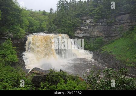 Blackwater River and Falls - Virginie-Occidentale Banque D'Images