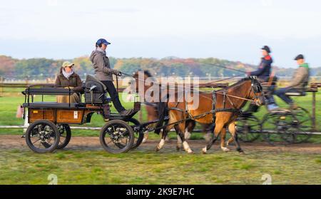 Hansen, Allemagne. 27th octobre 2022. Les participants au cours de la formation pour le permis de conduire Un essai routier avec leur chariot pour s'entraîner à une tâche de la zone de sport de compétition. Quiconque conduit un chariot peut faire beaucoup de choses mal. Le permis de conduire a été introduit de façon à réduire le nombre d'accidents. Credit: Philipp Schulze/dpa/Alamy Live News Banque D'Images