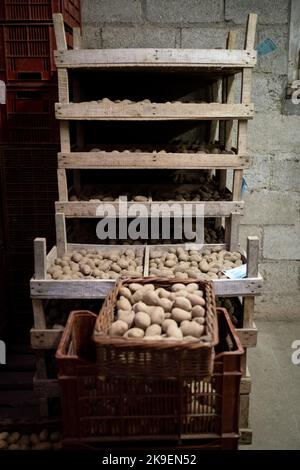 France, Bretagne, Dinan, 2021-12-20. Le jardin de Cocagne de Dinan, membre du réseau Cocagne, est un grand jardin urbain à base d'orgue Banque D'Images