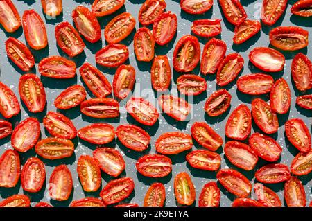 Jeunes tomates prune séchant au soleil Banque D'Images
