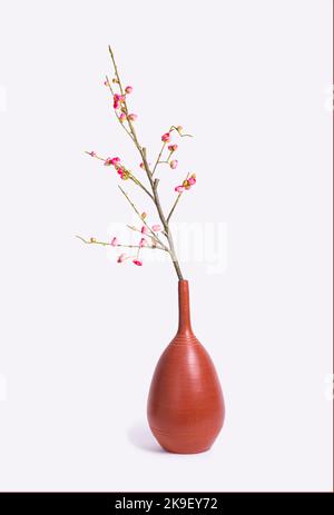 branche florale d'amandes dans un vase en argile sur fond blanc isolé. Fleurs artificielles Banque D'Images