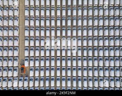 YANTAI, CHINE - 28 OCTOBRE 2022 - la photo aérienne montre un grand nombre de véhicules d'exportation de marchandises assemblés pour le chargement au port de Yantai à Yantai, Shan Banque D'Images