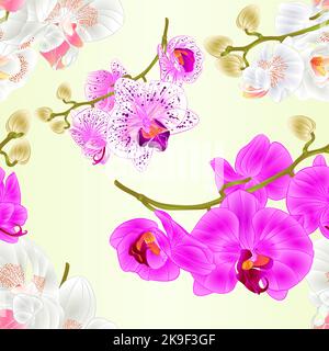 Texture sans couture branches varius orchidées fleurs blanc violet Phalaenopsis plantes tropicales vintage vecteur illustration botanique modifiable dessin à la main Illustration de Vecteur