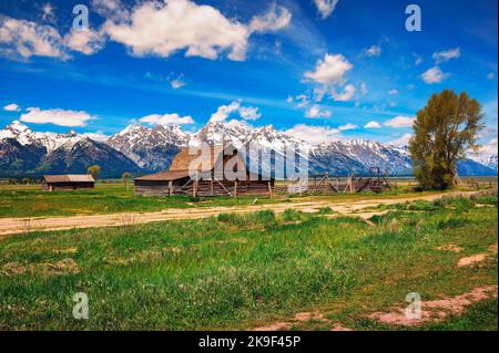 Barn historique de John Molton à Mormon Row dans le parc national de Grand Teton, Wyoming Banque D'Images