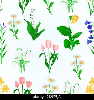 Texture sans couture fleurs de printemps lys de la vallée, les chutes de neige, bluebell campanula et les jonquilles de primrose, Tulips, pâquerettes vecteur millésime illustrati Illustration de Vecteur