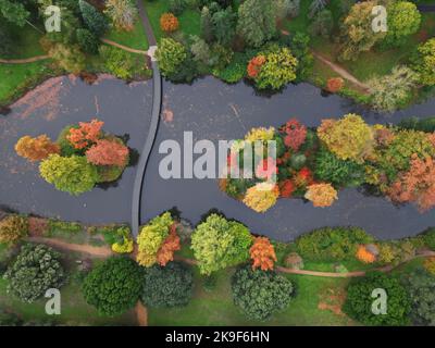 Couleurs d'automne exposées dans les jardins botaniques royaux de Kew. Un temps plus chaud et plus sec, comme on l'a vu dans tout le Royaume-Uni cet été, et le changement climatique pourrait avoir un impact important sur la couleur de l'automne à l'avenir. Date de la photo: Vendredi 28 octobre 2022. Banque D'Images