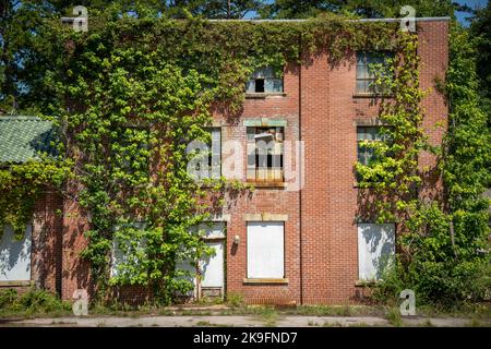 Les anciens bâtiments abandonnés en Amérique sont repris par des usines Banque D'Images