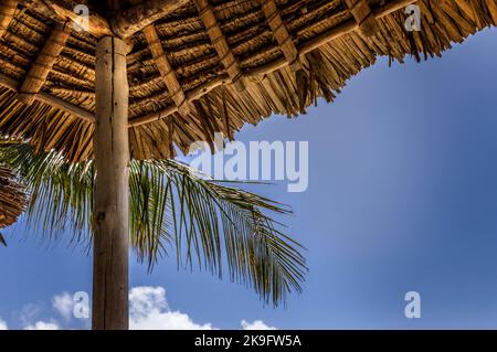 Reed a couvert le toit de cabana et une plage tropicale Banque D'Images